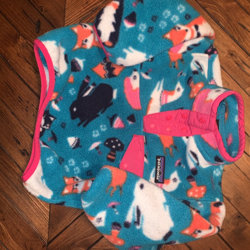Patigonia 6-12 month sweater